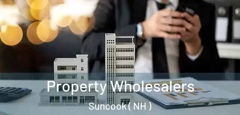  Property Wholesalers Suncook ( NH )