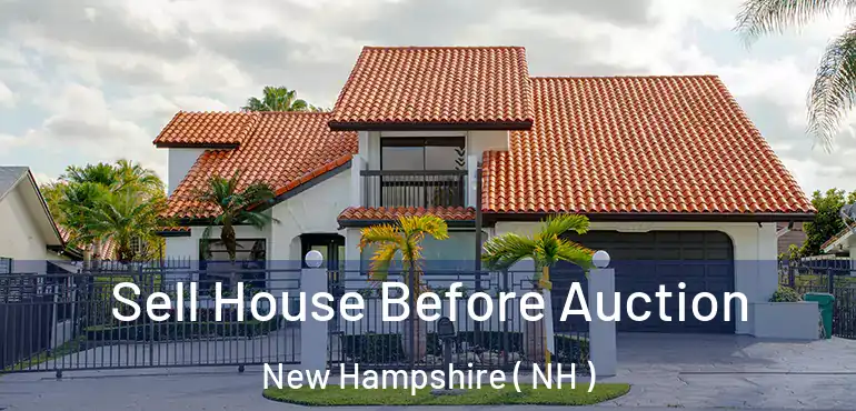  Sell House Before Auction New Hampshire ( NH )