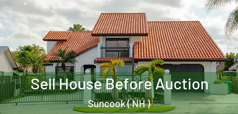  Sell House Before Auction Suncook ( NH )
