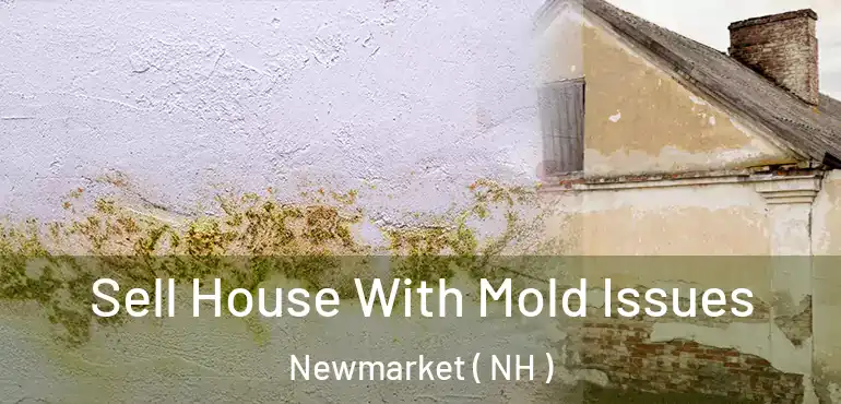  Sell House With Mold Issues Newmarket ( NH )