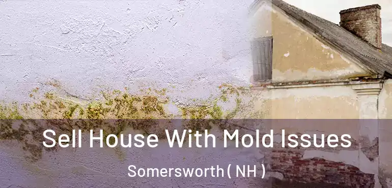  Sell House With Mold Issues Somersworth ( NH )